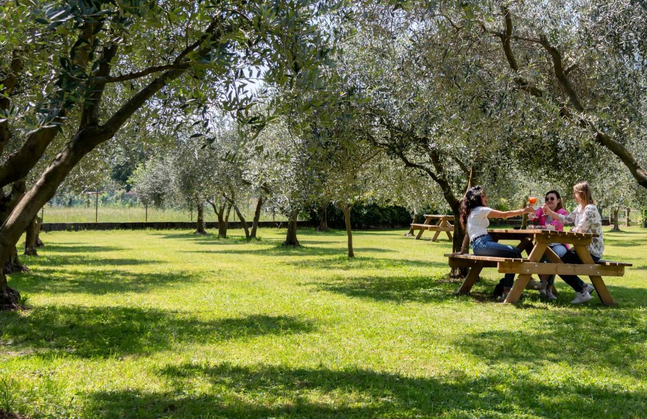 Agriturismo Cà Del Lago Gravedona Exterior foto